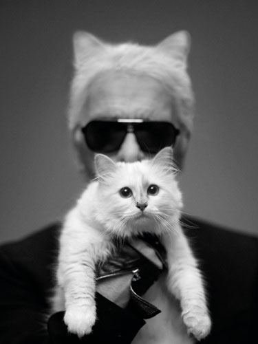Karl Lagerfeld Kat Daddy su Harper's Bazaar