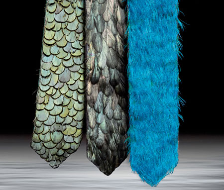 Cravatte di piume di Lanvin
